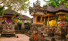 Bali ubud yaylası