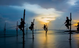 Sri Lanka Sırık Balıkçıları