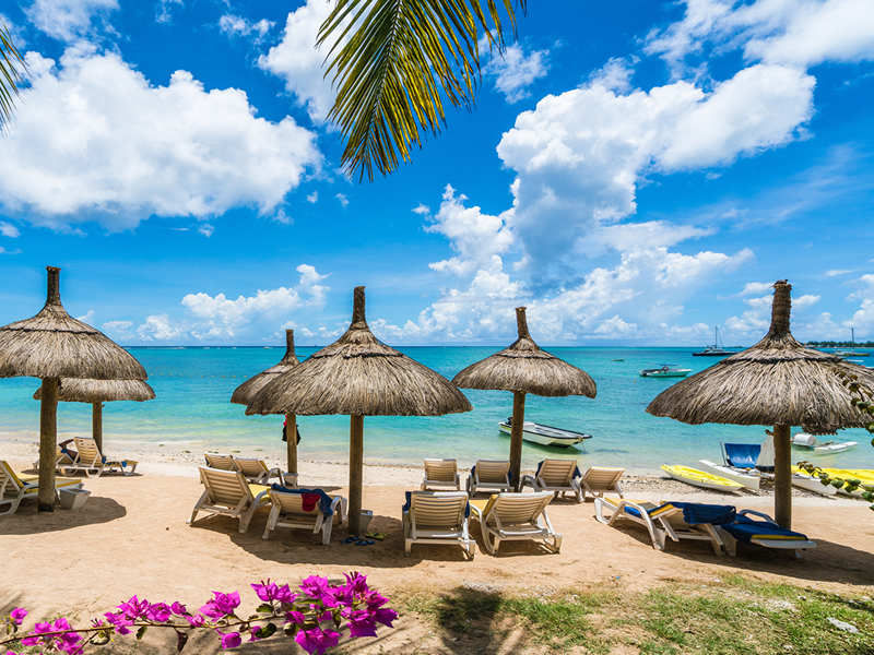 Mavi gökyüzü altında,mor çiçeklerin arasından görünen sahilde şezlonglar ve turkuaz deniz, Mauritius