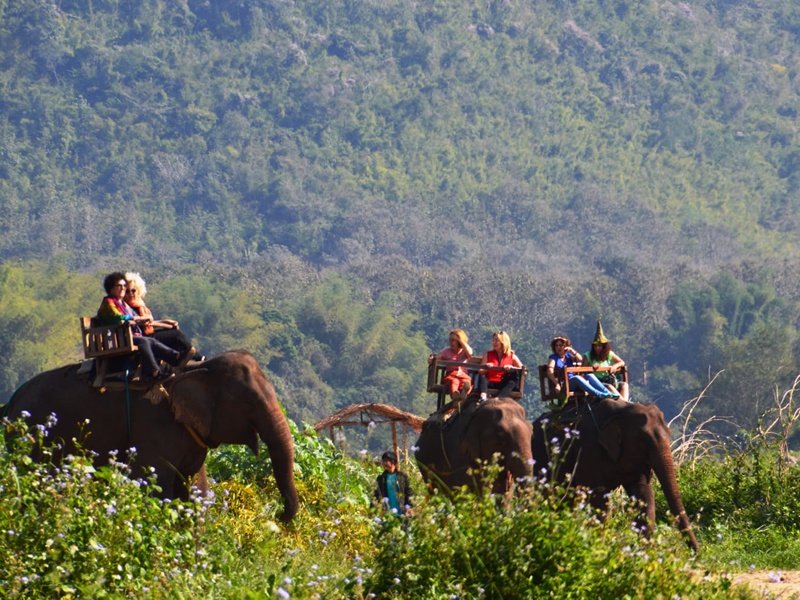Laos'ta fil ile gezinti yapan turistler