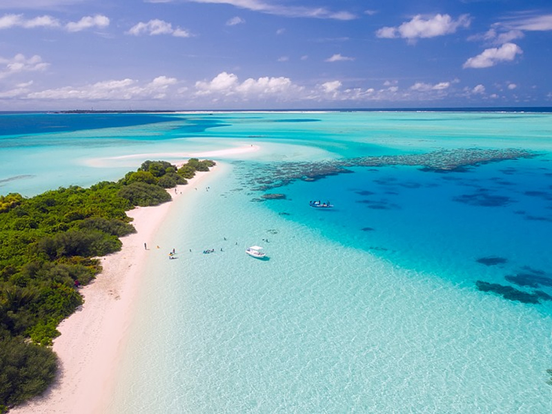 Maldivler'in turkuaz denizi ve kenardan kıyısı görünen yeşil bir ada