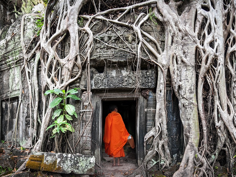 Siemreap Angkor Wat tapınağı kapı girişinde arkası dönük budist rahip