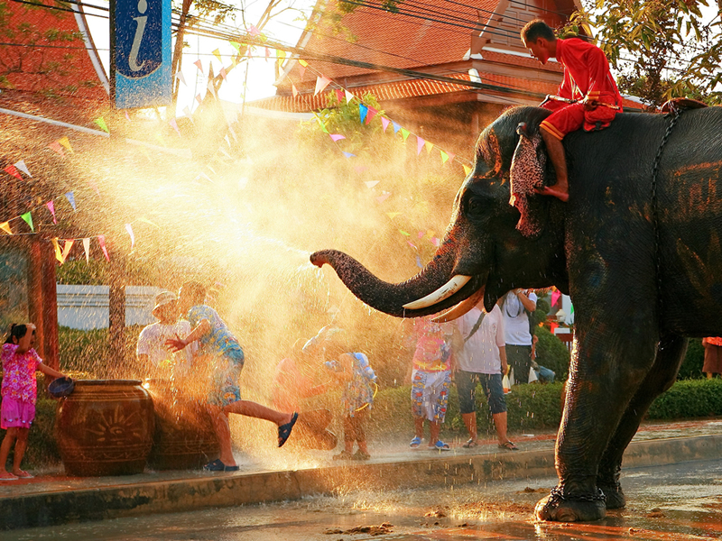 Tayland su festivalinde hortumu ile insanları ıslatan fil
