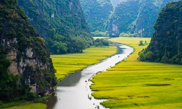 Ninh Binh'de yemyeşil kayalıkların ve pirinç tarlalarının arasından kıvrılarak akan nehir