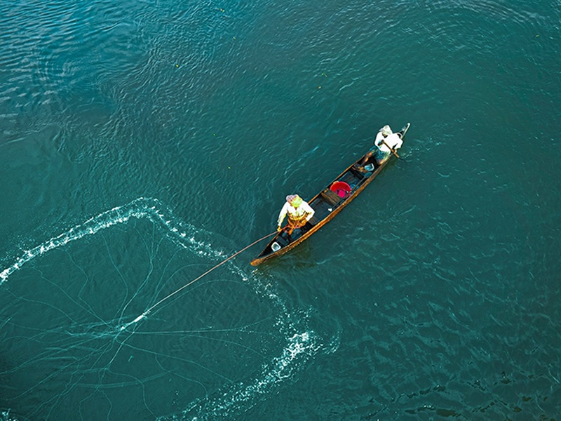Hindis'tan Kochi'de geniş ağlarını denize atıp balık tutan balıkçılar