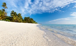 Maldivler sahilde beyaz kumsal ve turkuaz okyanus